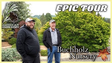 Spring at Buchholz Nursery 🌱 | Conifer Society Meets the Maples!