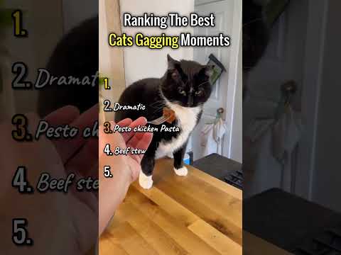 Ranking The Best cats Gagging Moments 🐈🤢