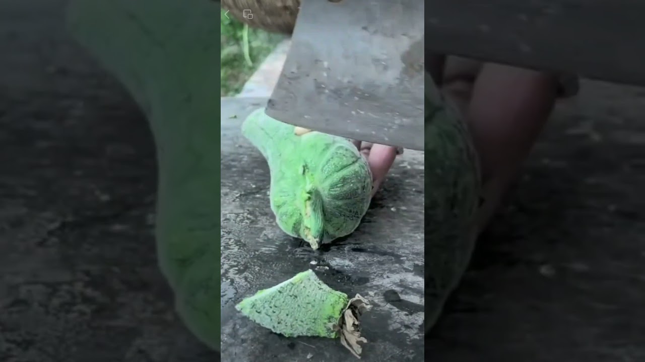 🌿 Dive into quick farming hacks with our bite-sized tips 