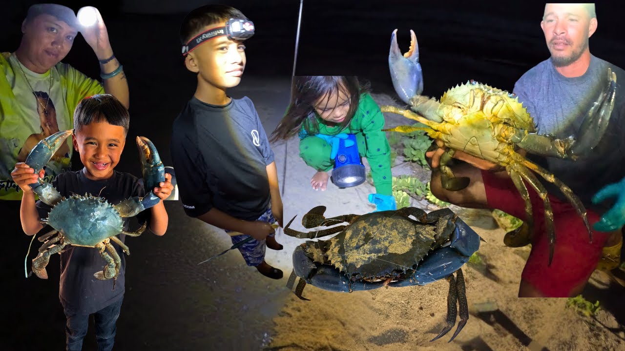 We caught MUD CRABS (samoan crabs) in Hawaii !!