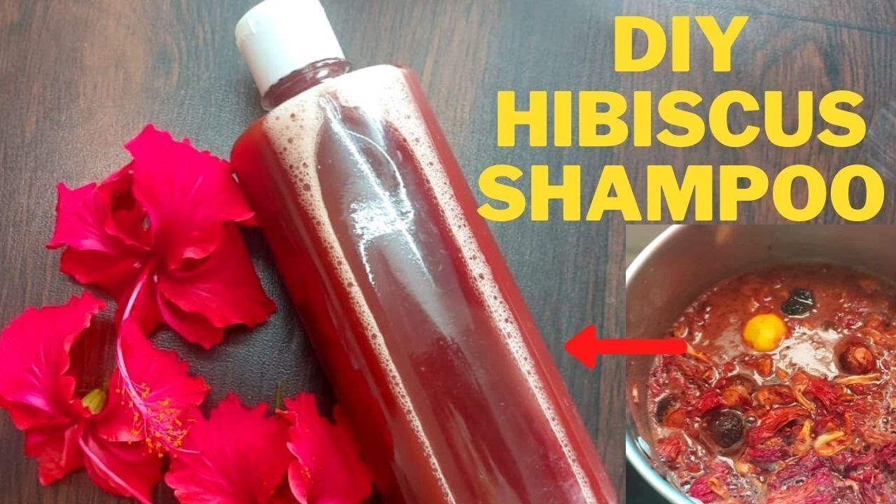 Homemade Hibiscus Shampoo To Grow Hair Faster & Thicker | Hibiscus shampoo| DIY Herbal shampoo