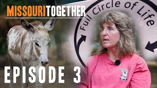 Missouri Together  Horse Rescue Heroes S4E3