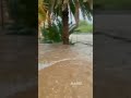 بهلا بهلا