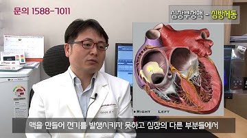 건강백과사전 - 부정맥 심방세동