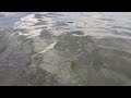 Baltyk sea Świnoujście