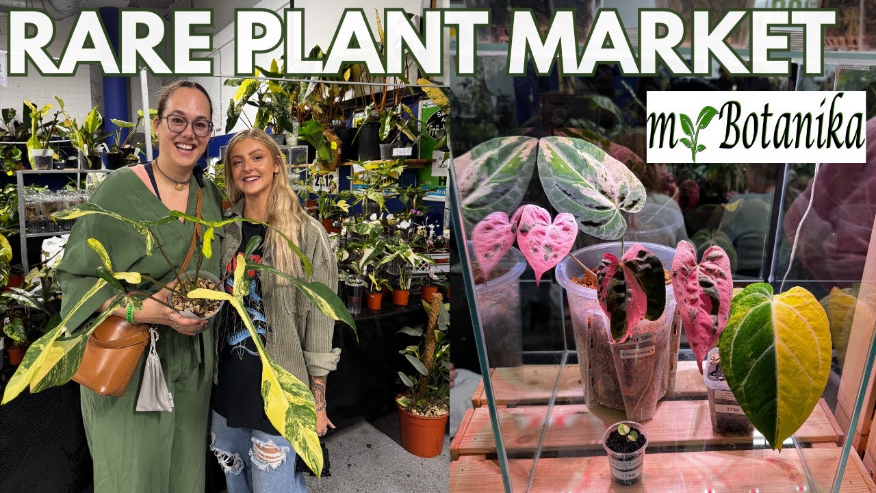 Biggest Rare Plant Market of Europe Tour | Plant with Roos
