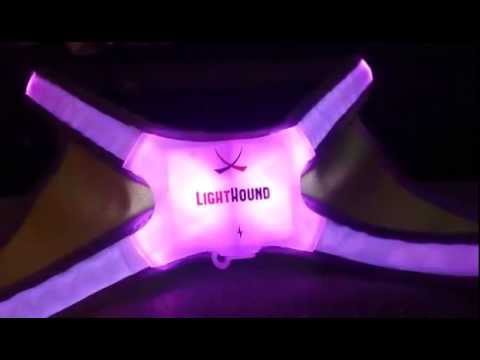 View of Noxgear LightHound