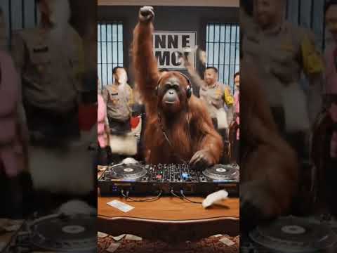 nada dering alama duit nih