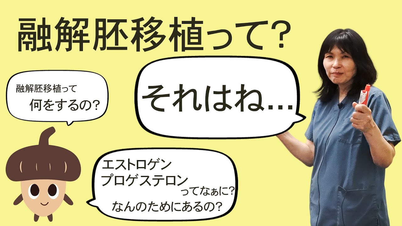 融解胚移植について「シリーズ：生殖専門医が娘にも分かるように説明してみた」