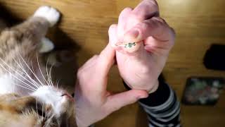 Monica Vinader 18k Gold, Diamond and Emerald ring unboxing