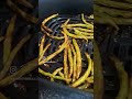 1 ingredient , 10 mins - healthy option to fries!! #airfryerrecipes #food #fries