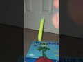Insane market flip trick shot