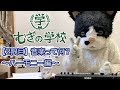 【むぎの学校 2限目】音楽って何?〜ハーモニー編〜