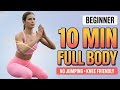 Flatten Your Lower Belly in 10 Minutes | No Equipment