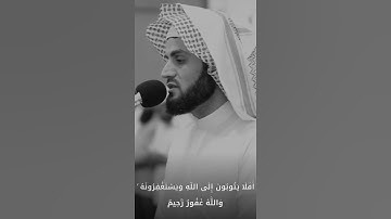 قرآن الكريم بصوت رعد محمد الكردي اجمل حالات واتس اب دينية سورة المائدة فيديو قصيره 🤍🌿