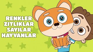 10 Daki̇ka Eğitici Çocuk Şarkıları - Kukuli - Şekiller Mevsimler Hayvanlar Zıtlıklar Renkler