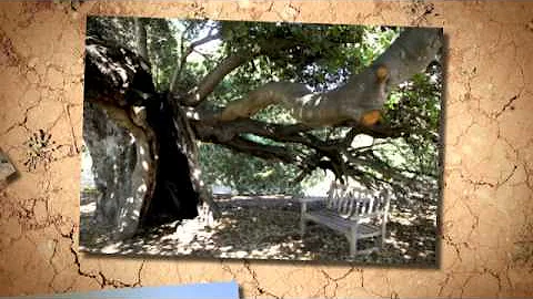 Explore Mystical Ojai with Connie Costa