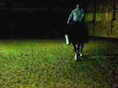 Abbey (MAKE MINE ABSOLOOT) 2006 APHA MARE