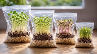 Download Lagu Ik koop geen potgrond en potten meer! Zo ontkiemen zaden twee keer zo snel. MP3