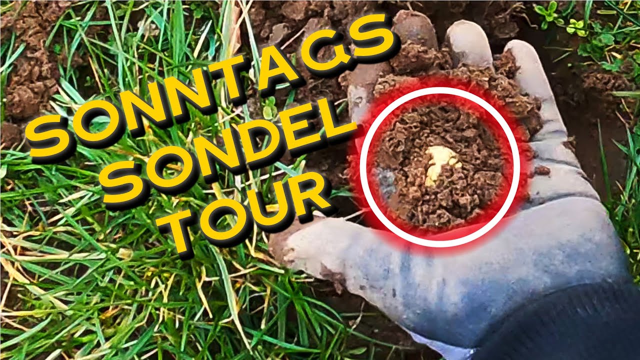 Viele Münzen bei der Schatzsuche! VLOG 25