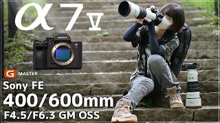 [POV] Sony α7 V + 400/600mm G Master: The Ultimate Bird & Insect Photography! screenshot 4
