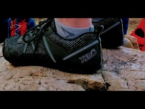 terraflex shoes