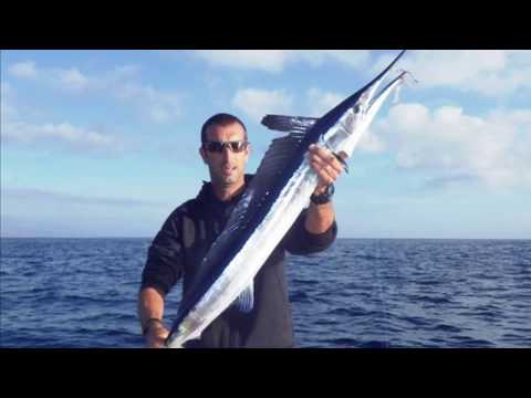 Piccola Aguglia Imperiale – Pesca a traina con artificiale