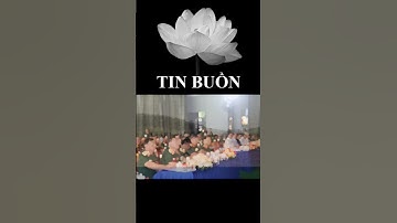 Bộ Quốc Phòng Điều Tra Vụ Nổ Trong Diễn Tập Quân Sự #QuânKhu7 #ĐồngNai #SựCốQuânSự #AnToànQuânĐội