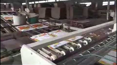 Carton printer die cutter machine with stripper and stacker