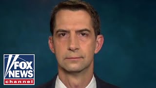 Tom Cotton slams 'catastrophic' decision to withdraw troops from Afghanistan screenshot 5