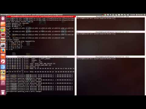Custom Mininet Topology