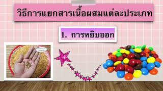 การแยกสารเนื้อผสม ป.6 screenshot 2