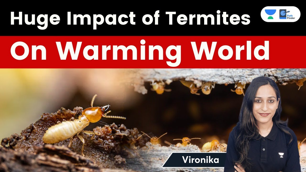 Huge Impact of Termites On Warming World | Explained by Vironika - YouTube