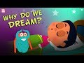 Why Do We Dream? | The Dr. Binocs Show | Best Learning Videos For Kids | Peekaboo Kidz