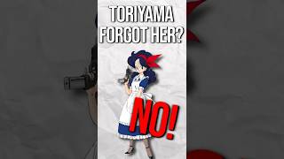 Toriyama Did Not Forget Launch