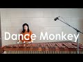 Dance monkey  tones and i  marimba cover