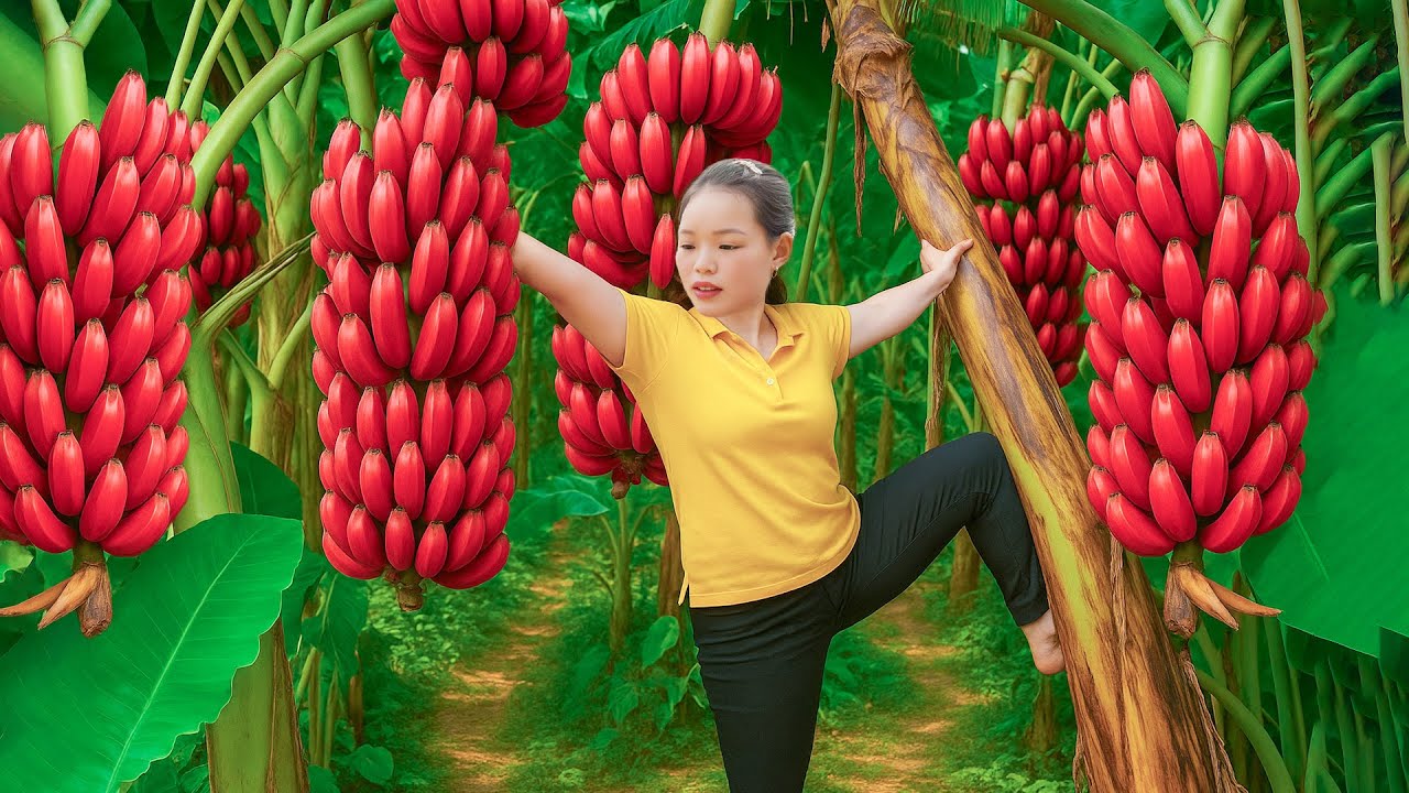 Harvest 5000+ kg of bananas and make crispy fried bananas to sell at the market, take care of pets