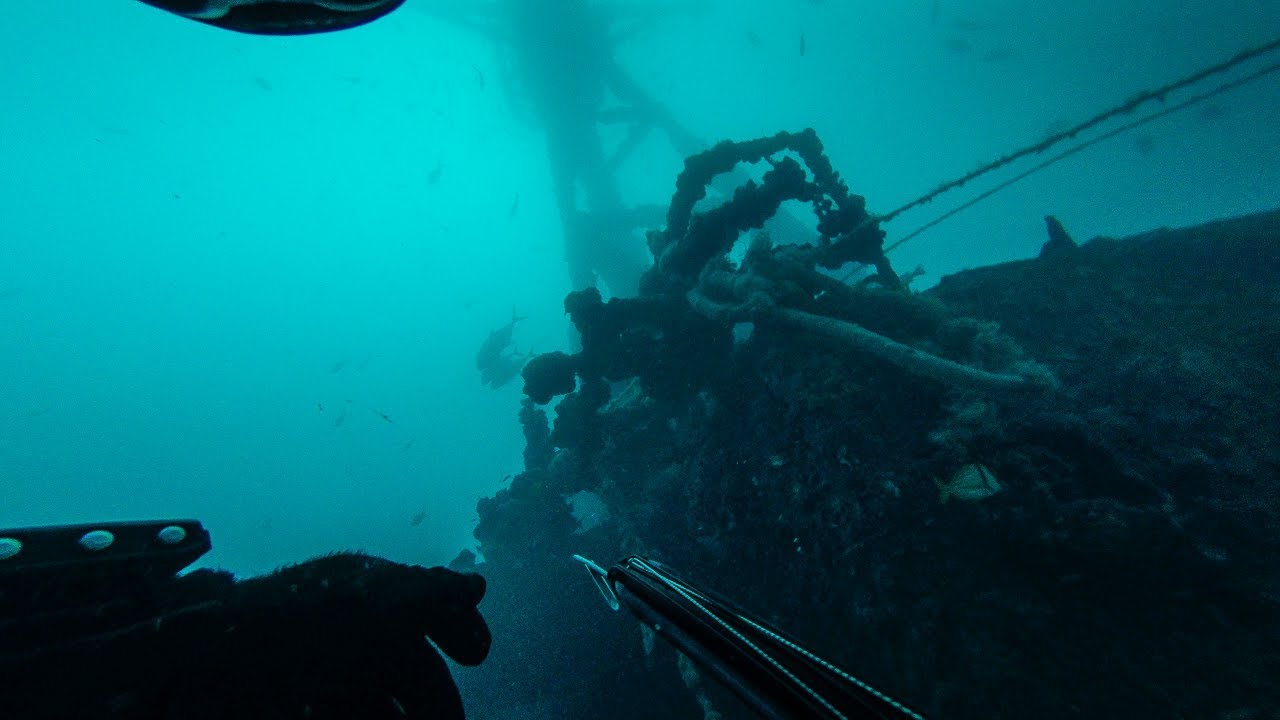 Keys Reef Wounded by Irma, but Lives With Challenges