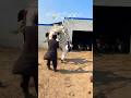 Angry Horse Throws Rider Off 😳😂 | Funny but Serious Horse Moment #Shorts #Horse #Funny #Viral