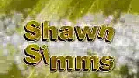 Brawl Shawn Simms