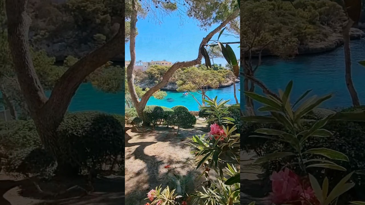 Cala Ferrera 🩵🌺 Cala d'Or 🩵 Mallorca 🩵 🏝 #majorca #mallorcalove #paradise