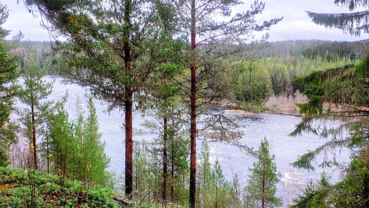 Mysigt flugfiske i Mellanljusnan på säsongens allra sista fiskedag  2025.