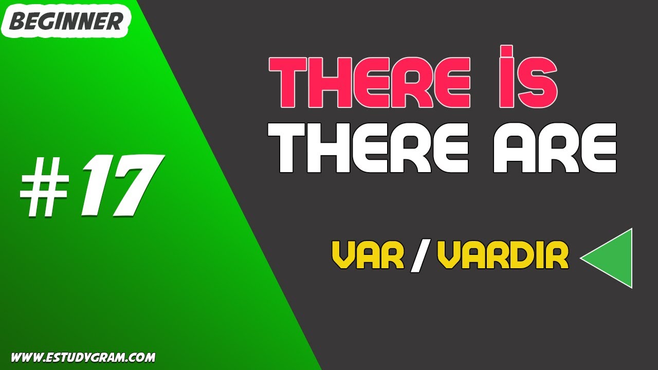 İngilis dili there is/are#17