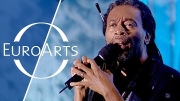 Bobby McFerrin: Improvisation II