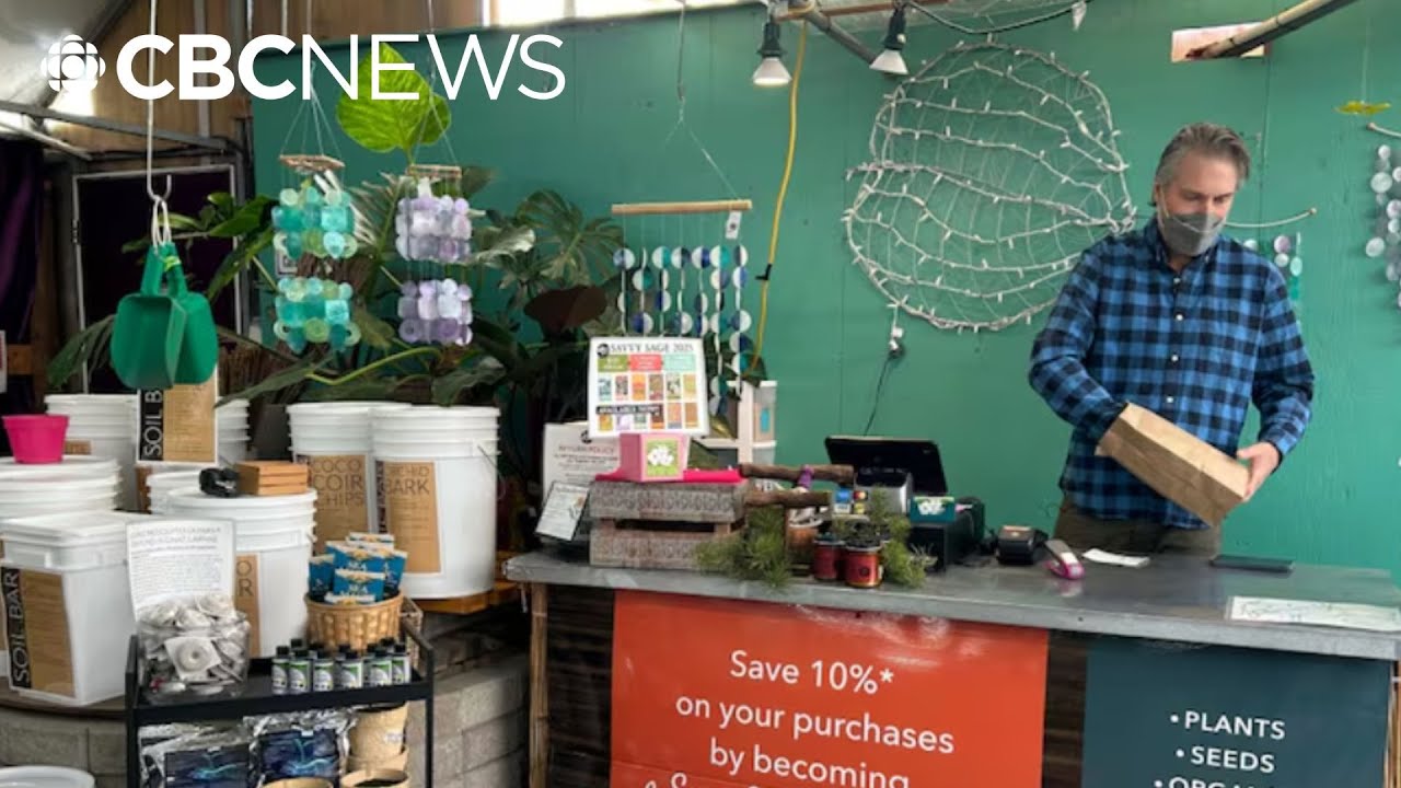 As postal strike continues, Winnipeg businesses take delivery into their own hands