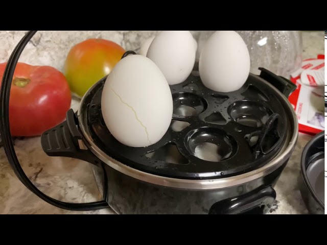 7 Egg Cooker – Bella Housewares