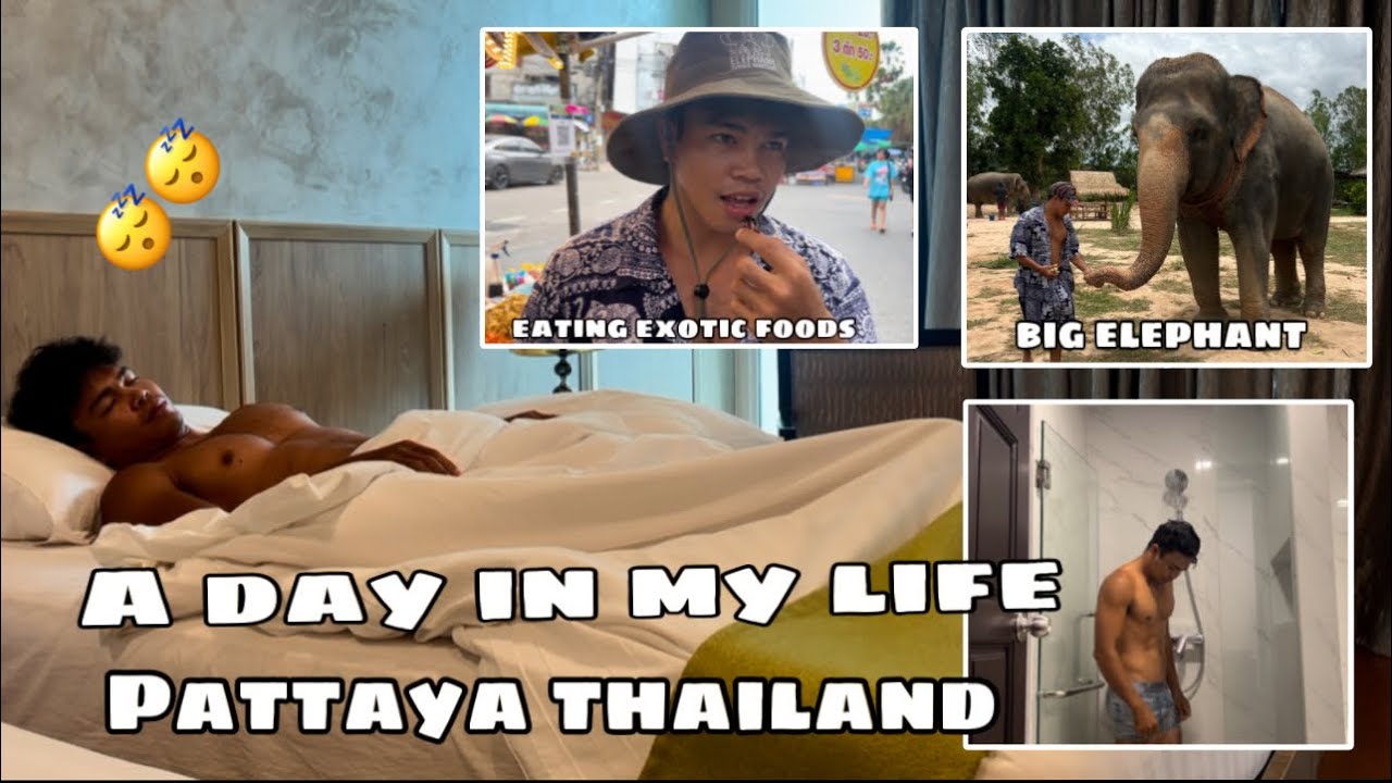 A day in my life in pattaya thailand | eating exotic foods & Go to ...