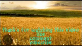 Download lagu mocca my only one (lyric)