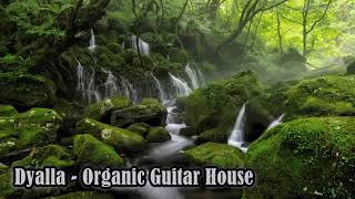 Dyalla - Organic Guitar House