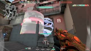 2010 asia radiant montage